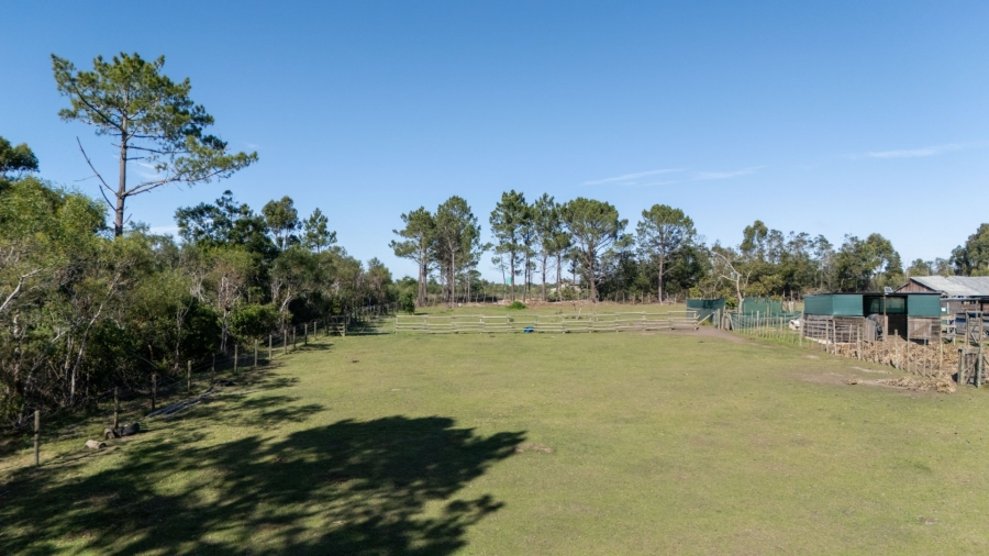 Commercial Property for Sale in Plettenberg Bay Rural Western Cape